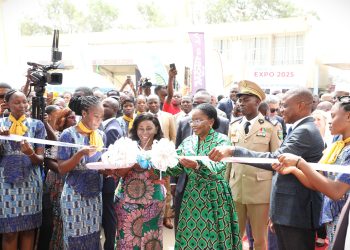 CETEF/Foire internationale de Lomé :  Le premier ministre ouvre officiellement la 19e édition