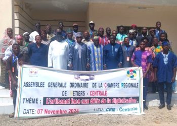Tchaoudjo : la CRM Centrale adopte son PAO et son budget prévisionnel 2025