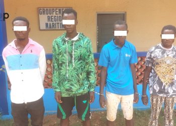 Zio/tentative de meurtre : des malfaiteurs interpelés par la gendarmerie nationale