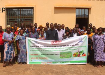 Promotion de l’agriculture : 60 producteurs maraîchers formés à Vogan