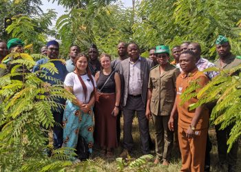 Agoè-Niyvé : les acteurs de la préfecture prennent connaissance du bilan à mi-parcours de la campagne nationale de reboisement 2024