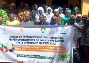 Oti-sud/production du beurre de karité : des actrices renforcent leurs compétences entrepreneuriales à Gando