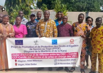 Bas-Mono/lutte contre les VBG : des acteurs échangent sur la budgétisation sensible au genre