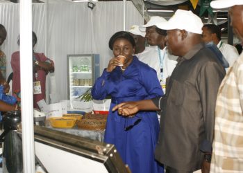 19è FIL:  La Ministre Mivedor-Sambiani a visité la foire
