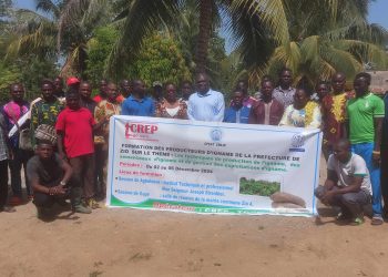 Agriculture : Des producteurs d’ignames du zio renforcent leurs capacites a agbelouve
