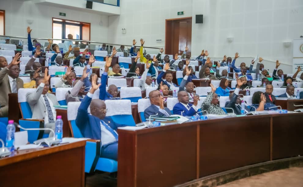 Vote de la loi de finances, exercice 2025