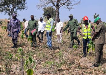 Tchaoudjo : la région Centrale a planté 741. 079 arbres sur 1.137,059 ha  en 2024