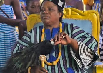 Culture/édition 2024 de la  danse « Djindjeegou » :  Les ressortissants de djofaga à Lomé ont renoué avec leur tradition