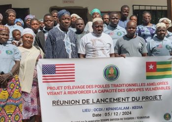 Tchaoudjo :  lancement d’un projet d’élevage de poules traditionnelles améliorées 