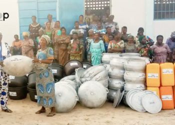 Vo / lutte contre la précarité des revenus :  des femmes transformatrices des produits agricoles formées à Wogba