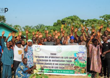 Kloto : des producteurs de café et cacao en formation sur la culture rapide de banane plantain