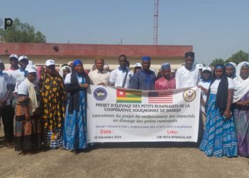 Tchaoudjo : lancement d’un projet d’élevage de petits ruminants à Sokodè