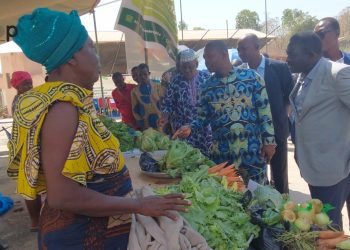 Ogou/agriculture : promotion des producteurs de maïs, de riz, des volailles et des maraichers des Plateaux – Est à Atakpamé