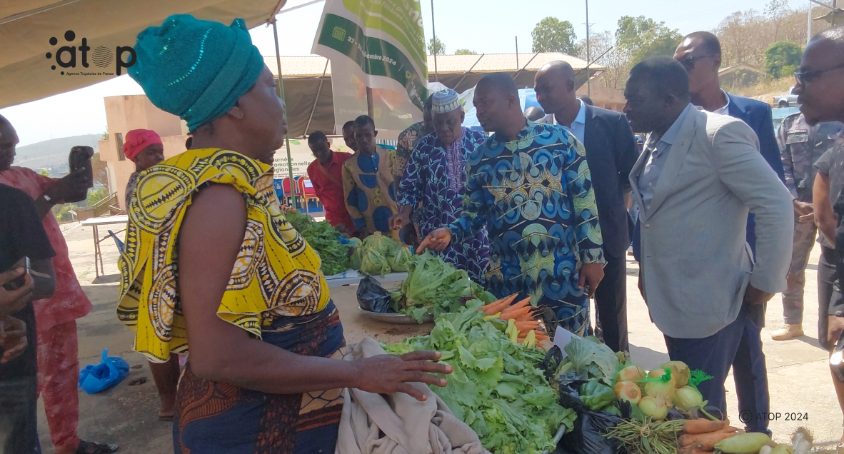 Ogou/agriculture : promotion des producteurs de maïs, de riz, des volailles et des maraichers des Plateaux – Est à Atakpamé 1 Oliver61