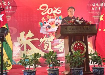 Nouvel an chinois 2025 :  un diner de gala organisé pour souhaiter une bonne et heureuse année aux chinois