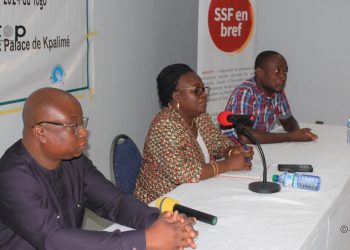 Kloto/santé oculaire : les rapports des études d’appréciation rapide de la cécité évitable au Togo en cours de validation