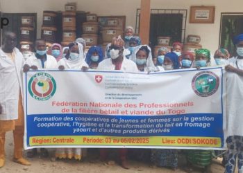 Tchaoudjo : des transformateurs de lait renforcés pour une production de qualité