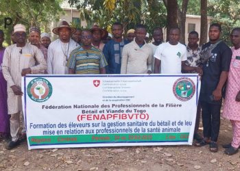 Tchaoudjo/ gestion sanitaire des bétails :  La FENAPFIBVTO renforce les capacités des éleveurs de la centrale,  kara et savanes