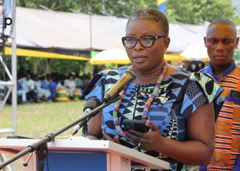 16è édition de la fête traditionnelle «Ewemoza»:  le peuple ewe de Kpélé et d’Akata l’ont célébré dans l’unité et la concorde