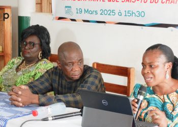 Kloto/constitution de la Vè république :  les enjeux expliques aux membres d’associations féminines
