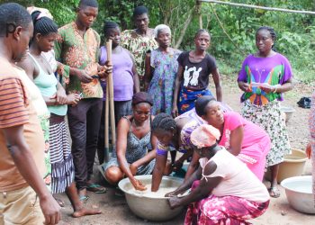 Kloto/production d’insecticides et engrais biologiques : Les membres du « consortium Assilassimé-Gali axayoe » formés