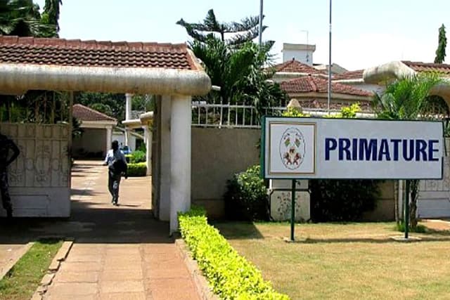 primature 640
