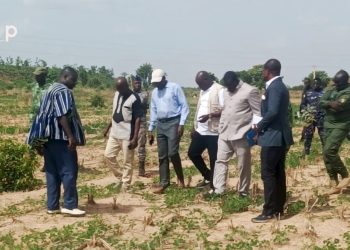 Tone/ campagne de reboisement 2024 :  une délégation a visité les sites de Doungh et de Garo dans les savanes