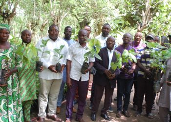 Kloto/relance de la filière café et cacao : 129 000 plants de cacaoyers, de caféiers et fertilitaires remis aux producteurs