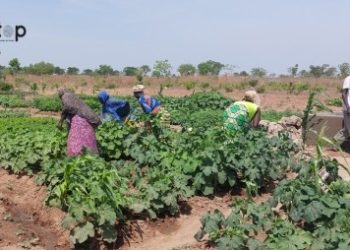 Oti-sud/mise en œuvre du projet «SAIRT2 » :  des ouvrages d’un champ école réceptionnés provisoirement à Kountoiré
