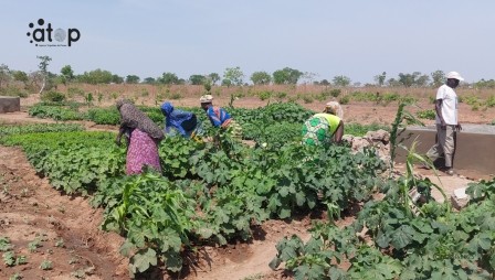 Oti-sud/mise en œuvre du projet «SAIRT2 » : des ouvrages d’un champ école réceptionnés provisoirement à Kountoiré 1 PHOTO 6 Des femmes a pied doeuvre sur le site a Kountoire