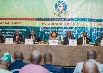 Le parlement de la CEDEAO étudie la question de réduction des coûts des billets d’avion à Lomé