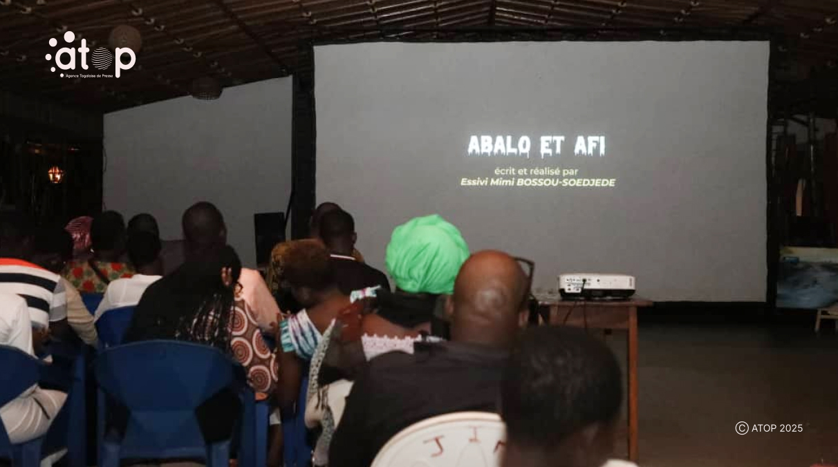 Cinéma : « Abalo et Afi », un film sur la situation des enfants de rue présenté au public 1 Le public suivant le film