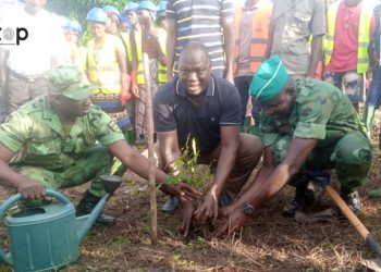 Environnement : la journée nationale de l’arbre observée à Agou