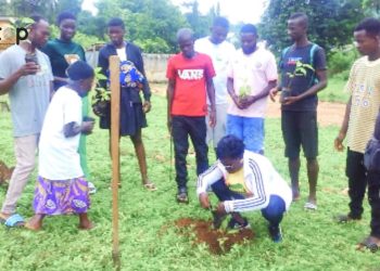 Kloto : l’association INGREED met en terre des plants au dispensaire d’Agome-tomégbé