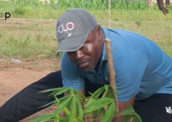 Lacs : 500 plants mis en terre à Afanvi-Condji
