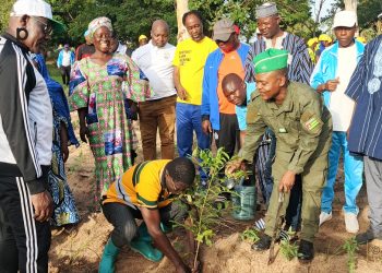 Assoli : 4500 plants mis en terre au lycée Bafilo-ville