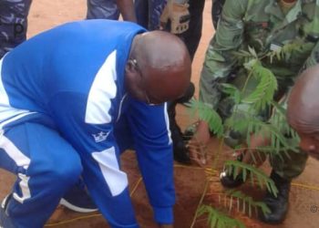 La journée nationale de l’arbre observée dans la préfecture d’Agoè-Nyivé