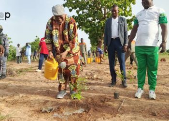 Tone: La campagne nationale de reboisement édition 2025 lancée dans les Savanes