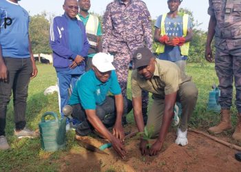 Tchamba: La campagne nationale de reboisement lancée sur le site du CEG ville 2
