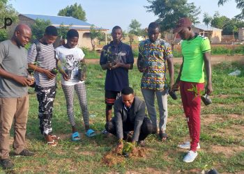 Tone : Des plants mis en terre au lycée Dapaong ville 2