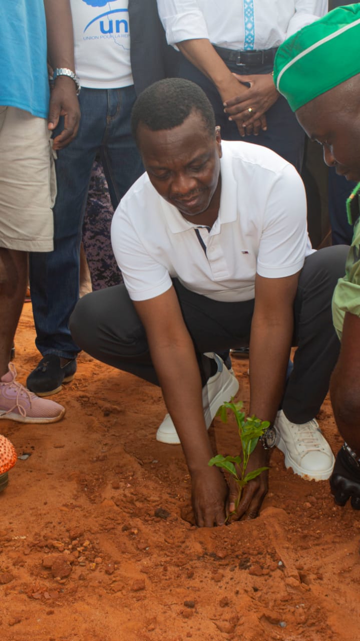 La journée de l’arbre observée dans le Zio 1 le president de lAssemble met en terre un jeune plant au nouveau marche de Tsevei
