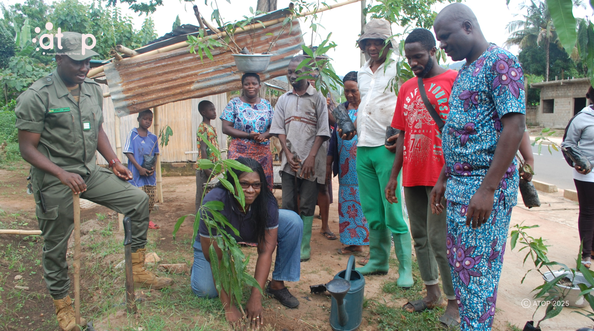 1 La directrice des Ressources forestieres entourees des femmes met en terre un plant de manguier