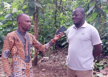 Environnement : De la nécessité de restaurer les forêts communautaires de tchamba
