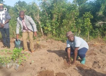 Tchaoudjo :  700 plants mis en terre dans la forêt communautaire  de Kéfia Agodomou
