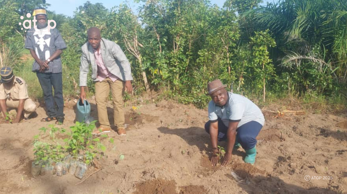 Tchaoudjo : 700 plants mis en terre dans la forêt communautaire de Kéfia Agodomou 1 Oliver 2025 07 04T135624.009
