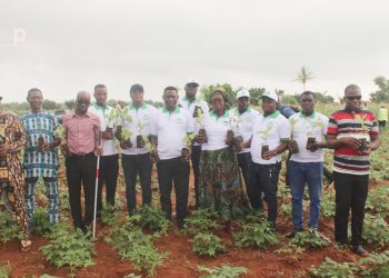 Vo/Campagne nationale de reboisement : ACATO met en terre des plants à Tchihonou