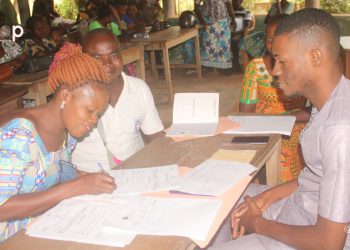 Vo/autonomisation de la femme : 75 groupements « Fafa Wa » appuyés à Vo-Koutimé