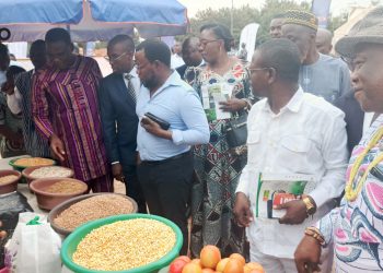 Vo / fête traditionnelle « Adzinukuza »  :  une foire régionale ouverte pour promouvoir les produits locaux