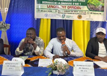 Un projet de reboisement des terres dégradées dans la commune Avé 1 lancé