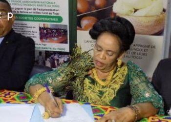 Kozah/filière karité :  la campagne de commercialisation des noix et amandes lancée à Kara